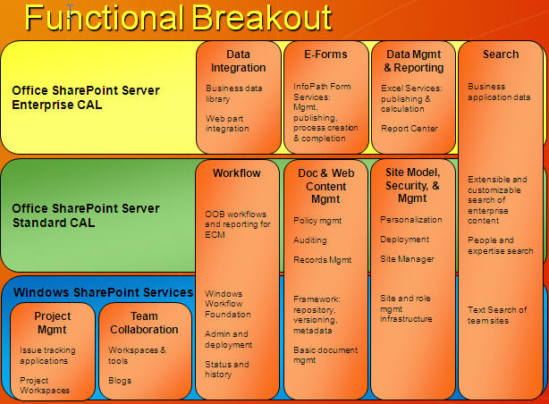Functional Licensing Breatout for Microsoft Office SharePont Server